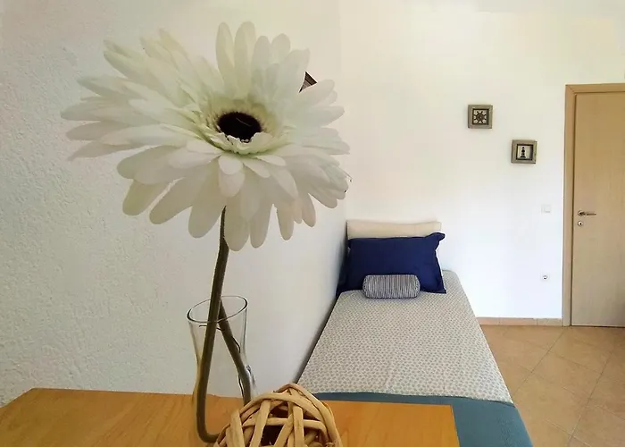 Seaside Clio Nikiti (Sithonia)