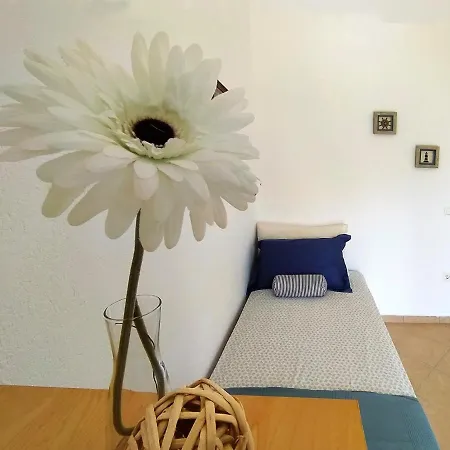 Seaside Clio 니키티